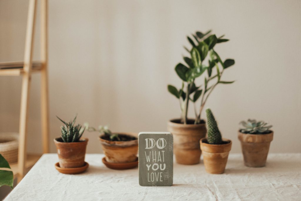 Plants and a sign that says "Do What You Love"